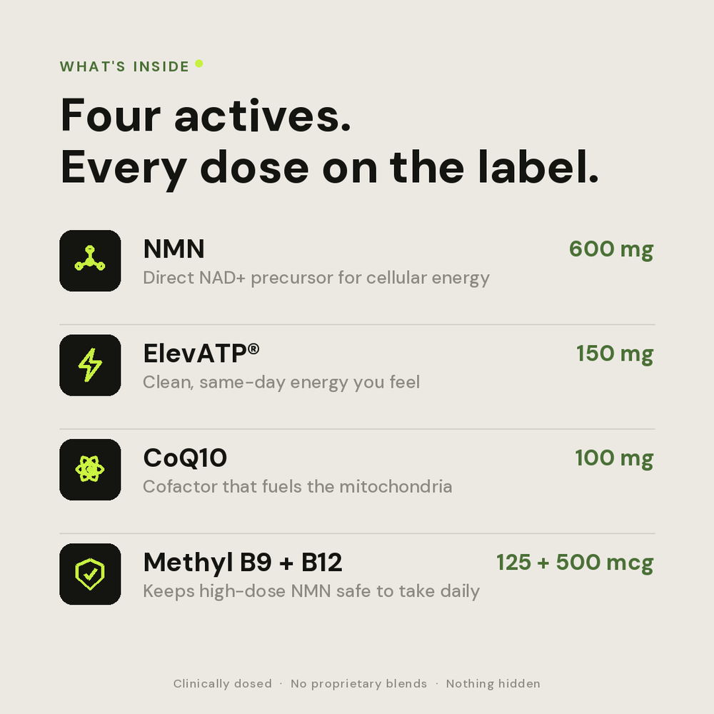 ATP — what's inside, actives and doses