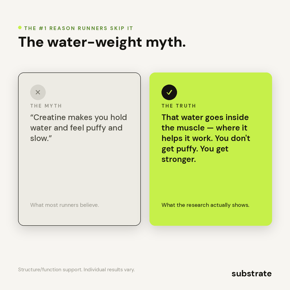 The water-weight myth, busted — water goes inside the muscle
