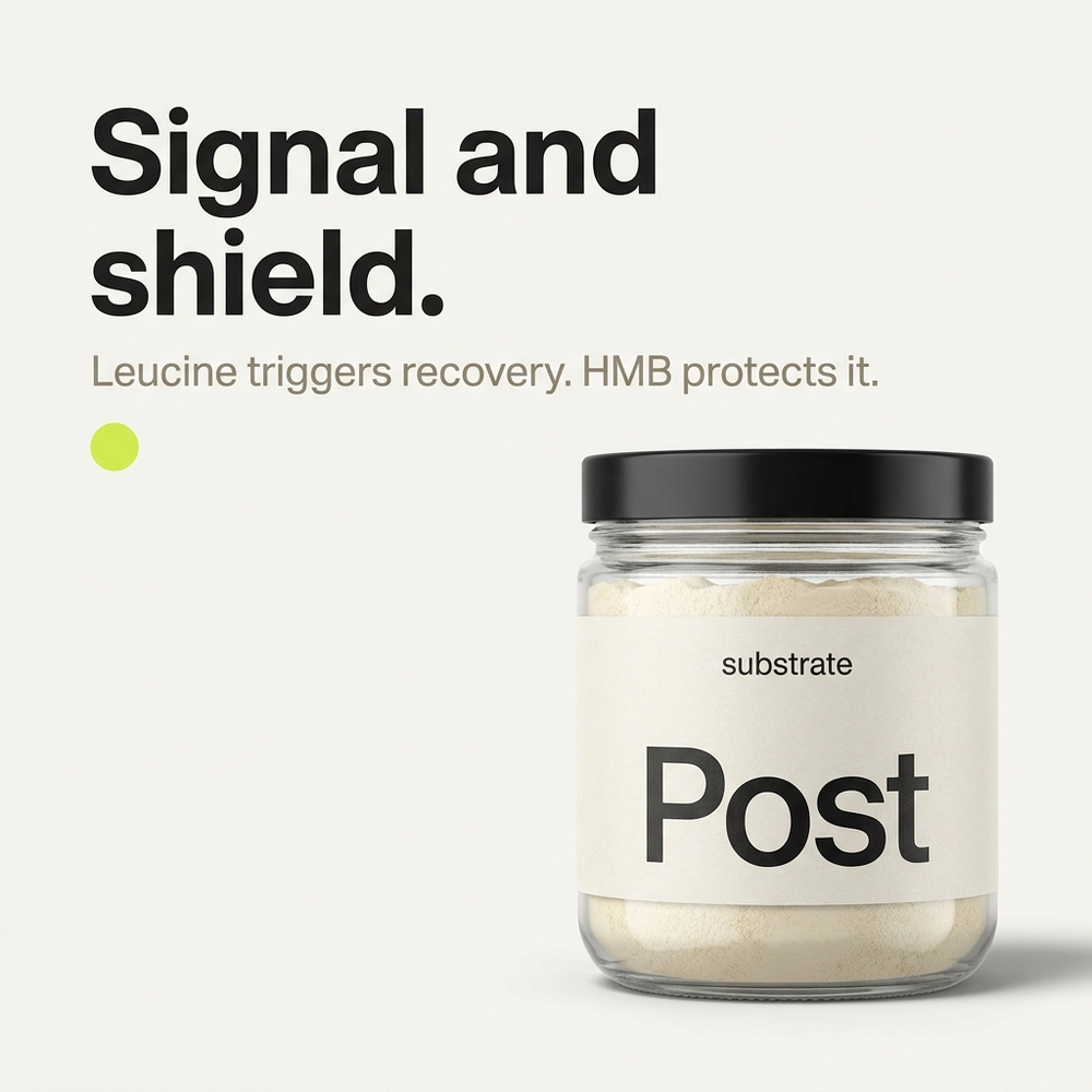 Signal and shield — leucine triggers recovery, HMB protects it